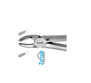 Fórceps de extracción de acero inoxidable de alta calidad incisivos superiores para niños Fig. 39A exportadores y fabricante - Product Image 4