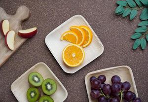 Areca Palm Leaf 10 Inch Square <b>Plates</b> Eco Disposable Dinner <b>Plates</b> for <b>Weddings</b> & Buffets Sustainable Disposable Tableware - Product Image 2