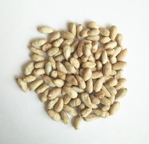 [2023 nóng] Hạt giống cỏ linh lăng chất lượng cao cấp protein 5kg giá tốt nhất từ UK - Product Image 3