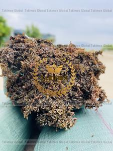 สาหร่ายทะเล Sargassum แห้งสาหร่ายทะเลทะเลแห้ง - Product Image 5