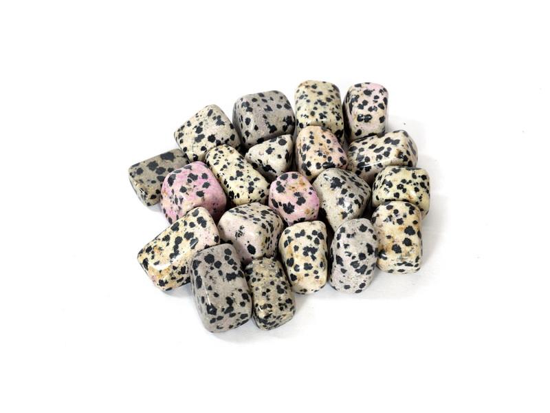 Dalmatian Jasper