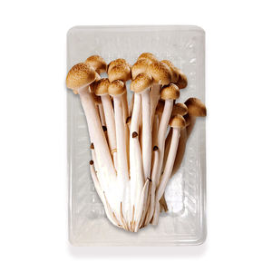 PET Anti Fog Packaging <b>Tray</b> <b>Plastic</b> Mushroom Box for Various Mushrooms Like Shiitake and Enoki Fungi - Product Image 3