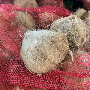 Crema de coco vietnamita lista para exportar usando el proceso IQF diseñado para una distribución global rentable por 99 Gold Data - Product Image 1