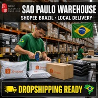 Agent maritime avec entrepôt à Sao Paulo pour le service d'expédition Shopee Brésil, logistique DDP, service de dropshipping et de fulfillment