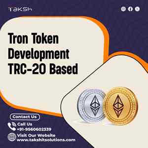 Trc-20 de développement de jeton Tron basé - Product Image 2