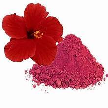 POUDRE DE FLEUR D'HIBISCUS À BASE DE PLANTES DE QUALITÉ SUPPORT DU SYSTÈME IMMUNITAIRE ET UTILISATION DU BIEN-ÊTRE D'ÉTIQUETTE PROPRE - Product Image 6