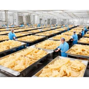 Tripa de Pescado Seca al Sol / Delicia de Marisco Premium para Sopa y Uso Medicinal - Product Image 1