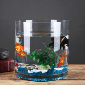 VCY0808 - Vase en verre cylindrique - 8 x 8 - Product Image 5