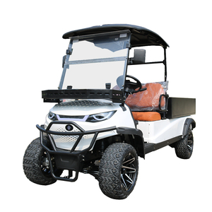 Voiture électrique à deux places, chariot de transport, batterie au plomb-acide, certifiée CE, 45 km/h, autonomie de 80-90 km, chargement et déchargement pratiques, personnalisable - Product Image 1