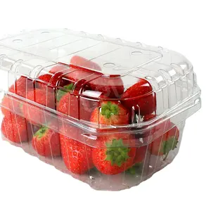 High quality and cheap price fresh fruit PET plastic Punnet container Export From India With Cheap Cost Price