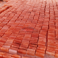 Briques de sel rose de l'Himalaya en vrac, denses, 2x4x8 pouces, certifiées ISO, tailles personnalisables, style Feng Shui, sculptées, qualité supérieure, 100% naturelles