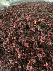 ดอกชบาแห้งสีแดง สำหรับการแปรรูปเครื่องดื่ม จากเวียดนาม โดย 99 โกลด์ ดาต้า - คุณไวโอเล็ต - Product Image 5