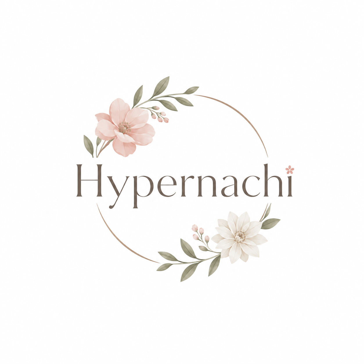 Shenzhen Hypernachi Digital Technology Co., Ltd. logo