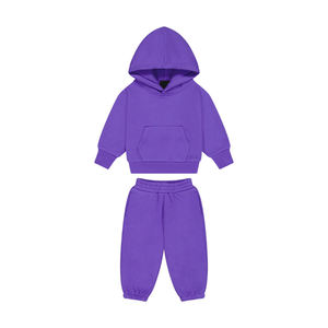 Conjuntos de Chándales para Niños Personalizados OEM, Conjunto de Dos Piezas Transpirable e Informal con Sudadera con Capucha, Felpa de Alta Calidad para Invierno - Product Image 5