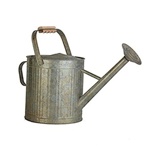 Top tendance Jardin décoré en acier galvanisé vintage pot de fleur enduit de poudre plante bon marché arrosoir en métal - Product Image 1