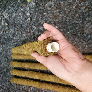 EMBALLAGE DE MOUSSE DE FORÊT SÉCHÉE en VRAC pour PLAQUER L'HUMIDITÉ SPHAGNUM VIETNAM - Product Image 5