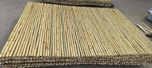 รั้วสวนไม้ไผ่รั้วไม้ไผ่สีเหลืองจากเวียดนามรั้วไม้ไผ่สีเหลืองจาก2025 - Product Image 3