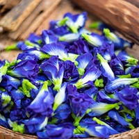 Bunga Kacang Biru Kering Organik Berkualitas Unggul untuk Infusi Herbal Teh Pewarna Makanan Alami Tersedia untuk Harga Ekspor