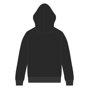 Sweat à capuche en chenille avec broderie pan-africaine, éducation HBCU, sororité grecque Divine Nine, vêtements personnalisés, logo personnalisé, sweat à capuche tendance - Product Image 3