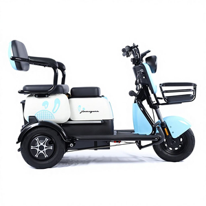 Tricycle électrique authentique 600W à vitesse unique 48V pour adultes, conception à carrosserie ouverte, acier à haute teneur en carbone - Product Image 2