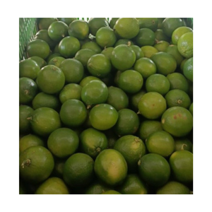 Lima verde fresca de Vietnam con piel fina, jugosa y aromática, larga vida útil, ideal para jugo, ensalada, bebidas, exportación y venta al por mayor - Product Image 1
