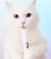 Gloss à lèvres coréen Cat's Lab, tendance pour les adolescentes, fini velours effet nuage, léger, doux, mat, haute pigmentation, longue tenue