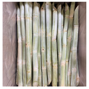 Palitos de caña de azúcar congelados de alta calidad sabor dulce natural de Vietnam listo para masticar bocadillo saludable para exportación OEM disponible - Product Image 6