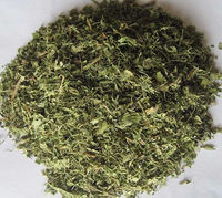 Feuilles de stévia séchées du Vietnam, qualité thé aux herbes, en vrac pour l'exportation