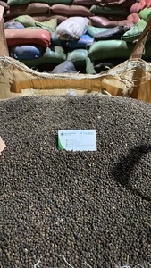 Traitement cru séché d'épices de l'exportateur vietnamien épicé de poivre noir chaud avec le processus de séchage AD 500 FAQ 500 MC Spécification - Product Image 6
