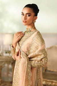 Vestido de fiesta de estilo pakistaní para mujer, vestido de gasa de diseño tradicional, vestido de fiesta de gasa tradicional elegante para mujer - Product Image 3