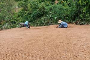 650ทอตาข่ายผ้าใยสังเคราะห์ที่เป็นมิตรต่อสิ่งแวดล้อม GSM สีน้ำตาลธรรมชาติผลิตจากโรงงานในเวียดนาม - Product Image 4