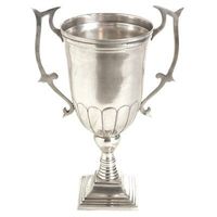 Trofeo de metal de calidad excepcional con una superficie de alto pulido y opciones de grabado personalizadas para cualquier logro