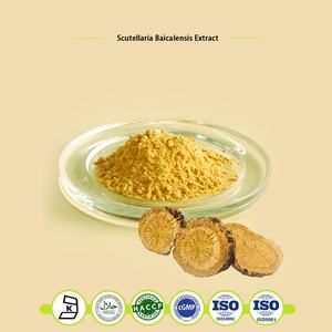 Scutellaria Baicalensis根エキスバイカリン粉末80%-98% バイカリン - Product Image 5
