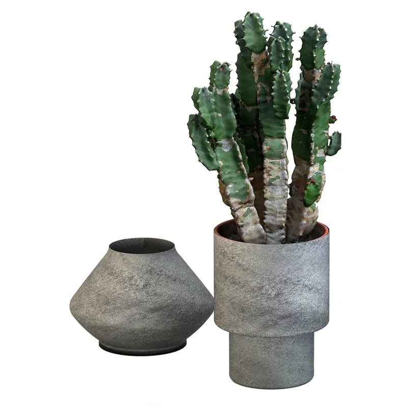 Iron Planters Silver Colour Set Of 2 for Home Decotaions Succulent Garden Metal Flower Pot Creative Personalised Planters Ideas