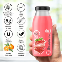 Boisson au jus de fraise, canette en aluminium de 250 ml, avec purée de fruits, marque VINUT, pour la vente en gros, distributeur de boissons, marque privée