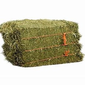 Exportateur de balles de foin de luzerne aliments pour animaux pour chiens de bétail au prix de gros - Product Image 5
