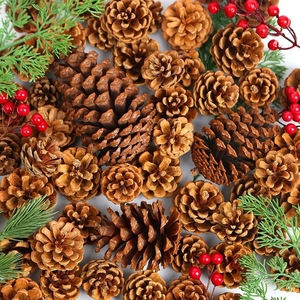 Noix de pin de Noël de haute qualité Délicieuse collation de vacances prête à l'emploi pour la cuisson et la cuisson des arbres de Noël Produit - Product Image 3