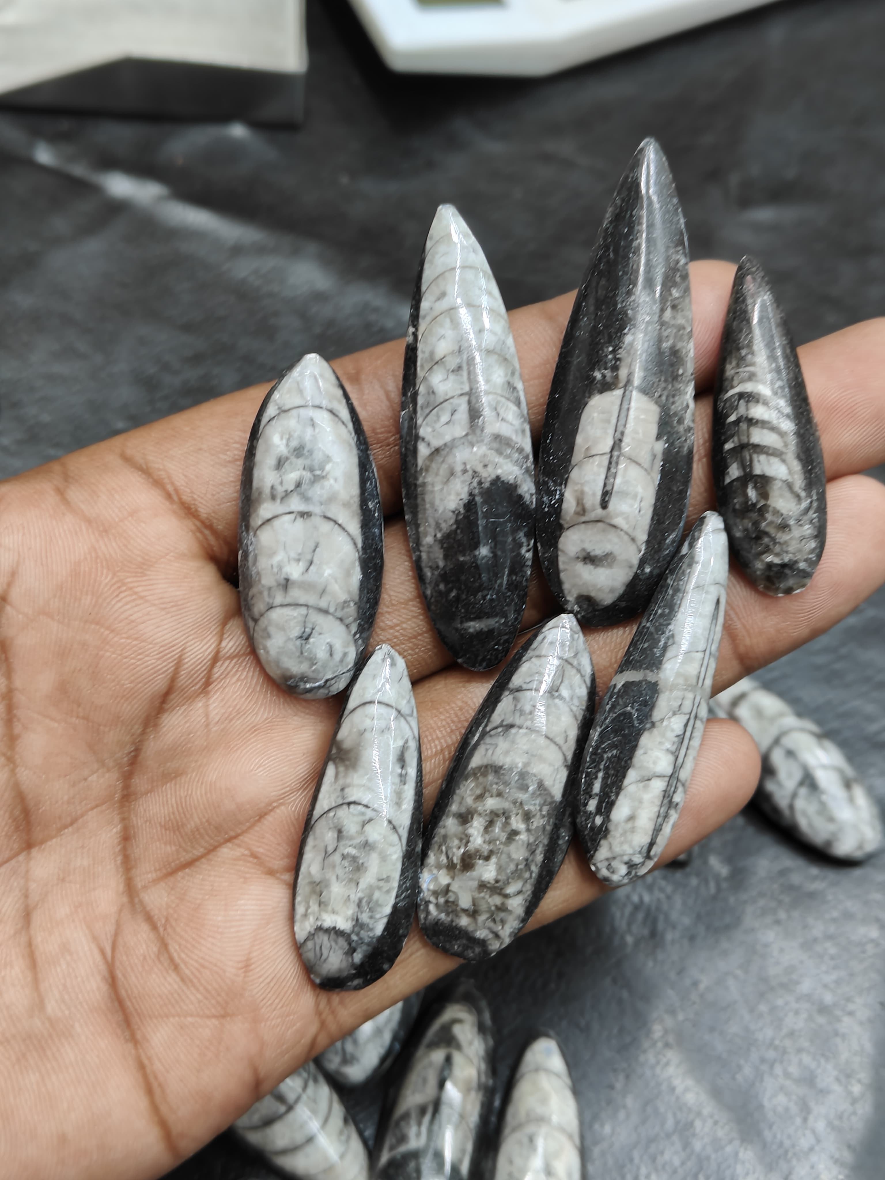 เห็นเป็นภาพ