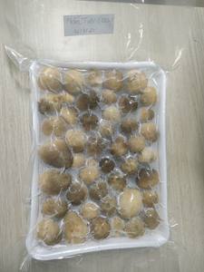ฟางเห็ด iqf เวียดนามผู้จัดจำหน่ายสำหรับคุกกี้เห็ด - Product Image 4