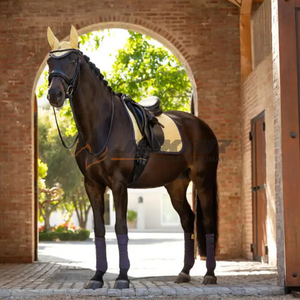 Tapis de selle de cheval anglais durable fourniture en gros tissu de polyester de coton respirant doublure douce léger absorbant les chocs - Product Image 2