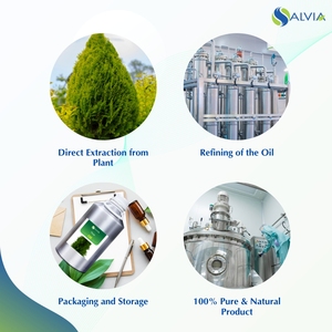 Huile de thuja 100% pur et naturel en gros en vrac prix le plus bas emballage personnalisé - Product Image 4