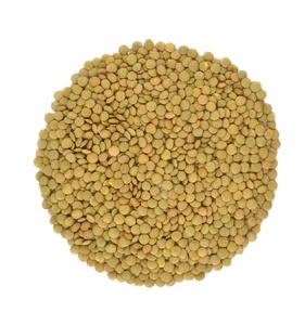 Lentilles séchées entières de qualité supérieure en vrac, lentilles rouges, lentilles vertes - Product Image 4