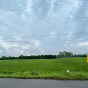 ที่ดินให้เช่าที่ดิน - Product Image 1