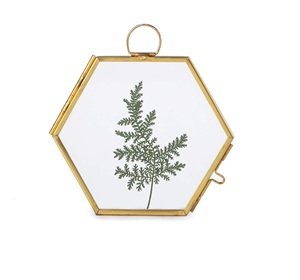 Brass Leaves <b>Design</b> <b>Wall</b> Decor Hanging <b>Frame</b> for Display for Home Living Room <b>Wall</b> Hanging Decorative Item - Product Image 1