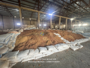 Poudre de gomme arabique d'acacia biologique naturelle Épaississant sans danger pour les aliments biologiques Gomme arabique séchée crue du Sénégal emballée en rouleaux - Product Image 5