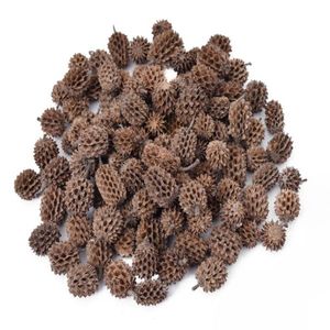 Flores Secas Cósmicas de Alta Calidad al por Mayor, Vainas de Casurina Naturales para Popurrí, Decoración de Eventos de Halloween, Flores Secas - Product Image 1