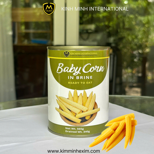 Exportation de légumes en conserve du Vietnam Maïs bébé de haute qualité en saumure - Product Image 3