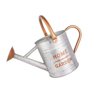 Arrosoir en métal de style moderne de la meilleure qualité, outil de jardin intérieur extérieur durable et durable, prix compétitif - Product Image 6
