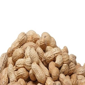 Option d'arachides naturelles crues de qualité supérieure fraîchement emballées en vrac pour les détaillants et les acheteurs de produits alimentaires - Product Image 4