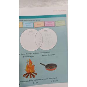 Libro dello studente di scienze primarie di Cambridge 2 - Product Image 4